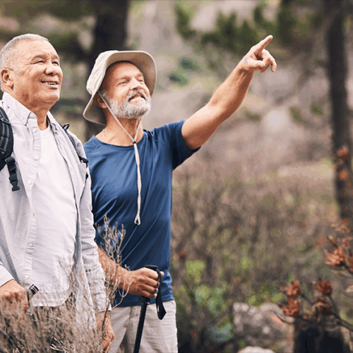AdobeStock_571524021-cropped